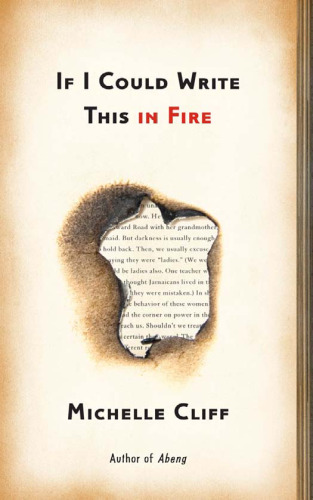 If I Could Write This in Fire