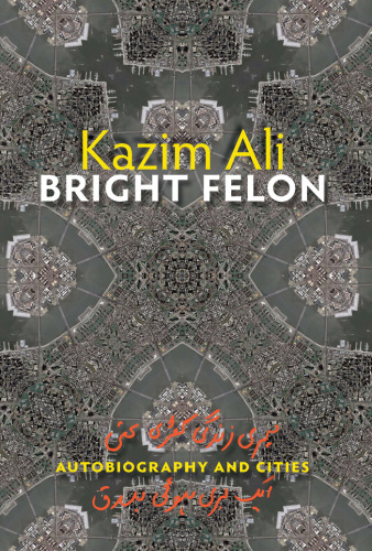 Bright Felon: Autobiography and Cities