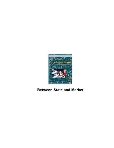 Between State and Market: Mass Privatization in Transition Economies