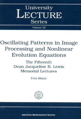 Oscillating patterns in image processing and nonlinear evolution equations