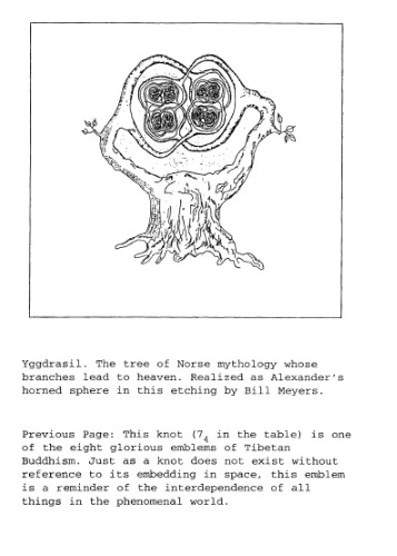 Knots and links