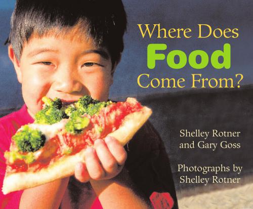 Where does food come from?