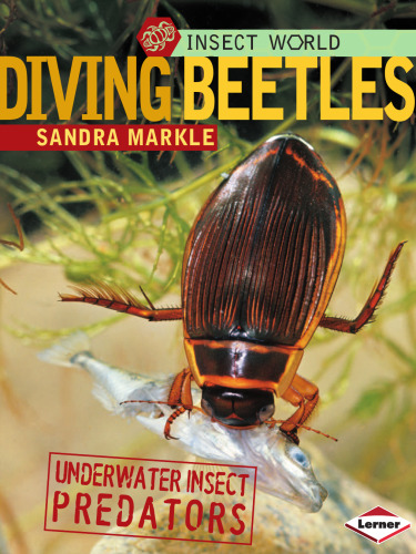 Diving Beetles: Underwater Insect Predators (Insect World)