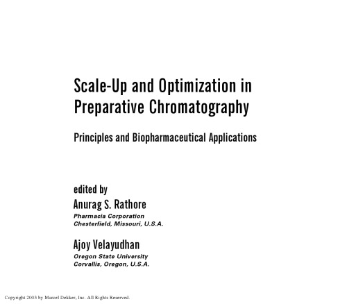 Scale-Up and Optimization in Preparative Chromatography: Principles and Biopharmaceutical Applications (Chromatographic Science)
