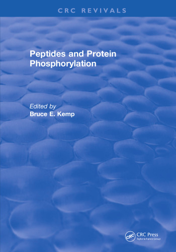 Peptides and protein phosphorylation