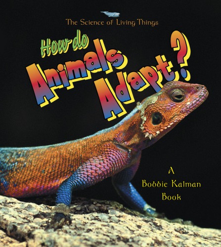 How do animals adapt?
