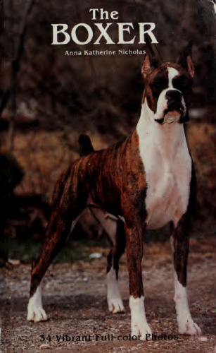 The Boxer