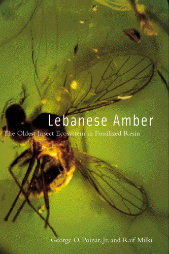 Lebanese Amber: The Oldest Insect Ecosystem in Fossilized Resin