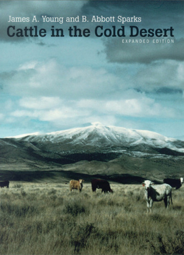 Cattle in the Cold Desert