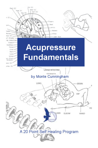 Acupressure Fundamentals: A 20 Point Self Healing Program
