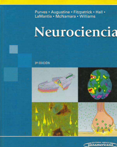 Neuroscience