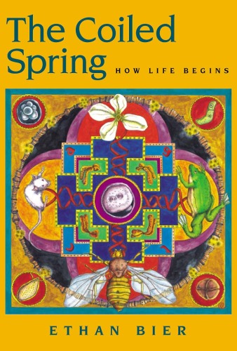 How the life begings