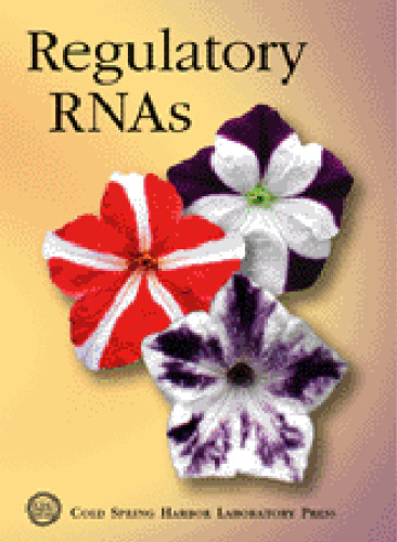 Regulatory RNAs