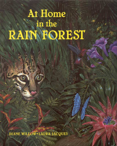 At Home in the Rainforest