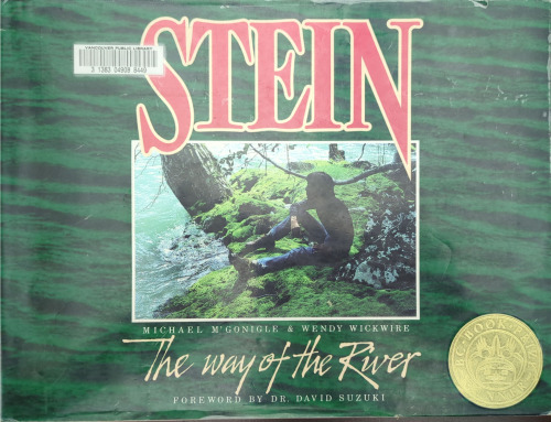 Stein, the Way of the River