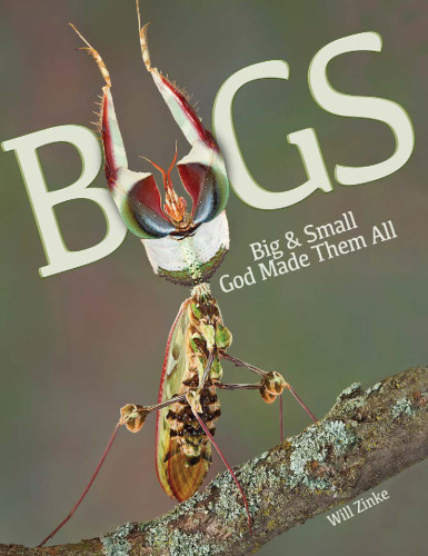Bugs Big & Small God Made Them All
