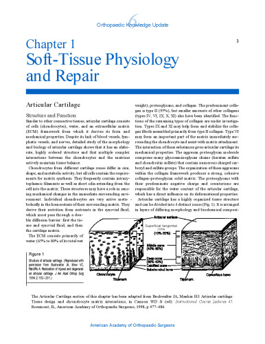 Orthopaedic Knowledge Update 6: Home Study Syllabus