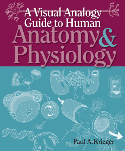 A Visual Analogy Guide to Human Anatomy & Physiology