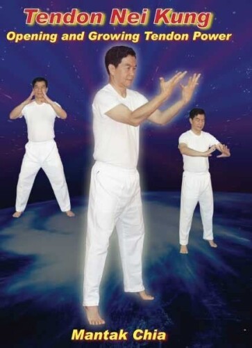 Tendon Nei Kung. Opening and growing tendon power