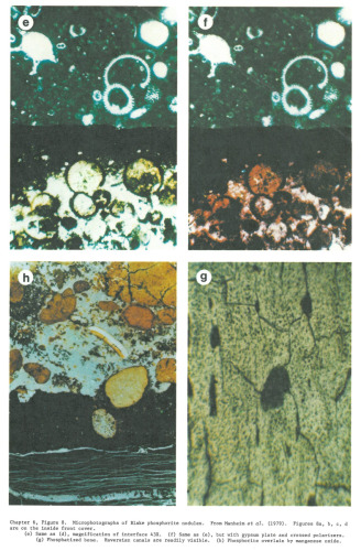 Marine Minerals