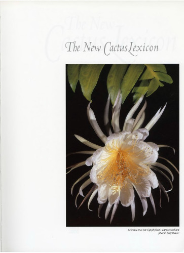 The New Cactus Lexicon. Descriptions & Illustrations of the Cactus Family, compiled and edited by members of the International Cactaceae Systematics Group. [Two Volumes]