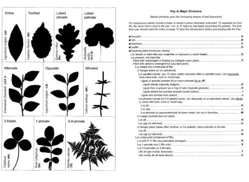 The Vegetative Key to the British Flora