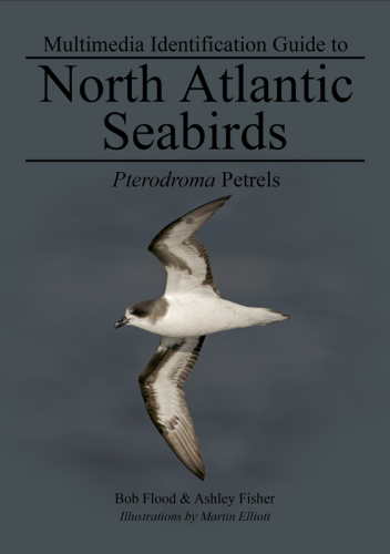 Pterodroma Petrels (Multimedia Identification Guides to North Atlantic Seabirds)