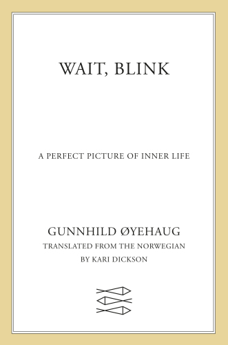 Wait, Blink