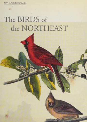 John J. Audubon's Guide: The Birds of the Northeast
