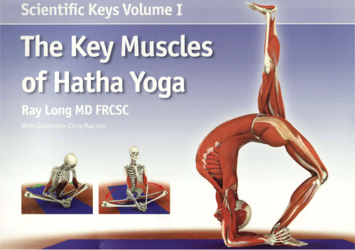 Scientific Keys: The Key Muscles of Hatha Yoga