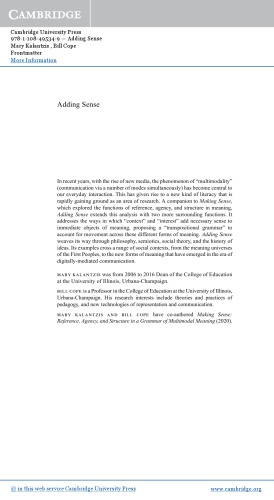 Adding Sense: Context and Interest in a Grammar of Multimodal Meaning