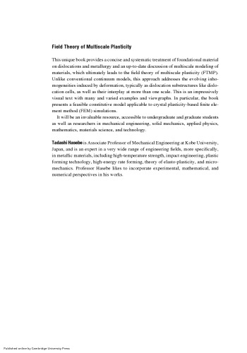 Field Theory of Multiscale Plasticity