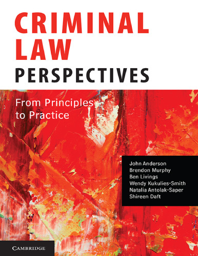 Criminal Law Perspectives: From Principles to Practice