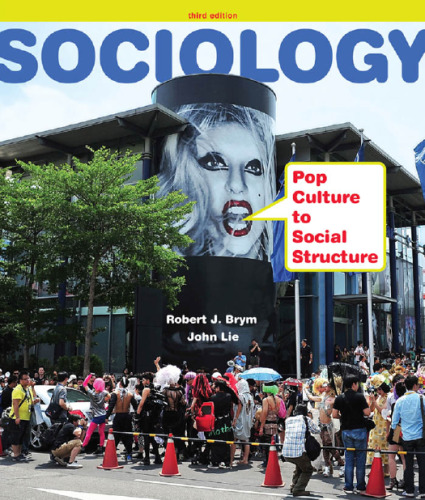 Sociology: Pop Culture to Social Structure