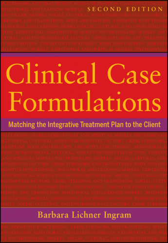Clinical case formulations : matching the integrative treatment plan to the client
