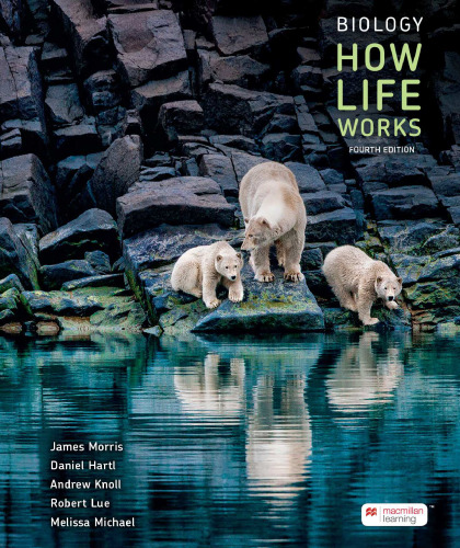 , 4th edition, Paperback