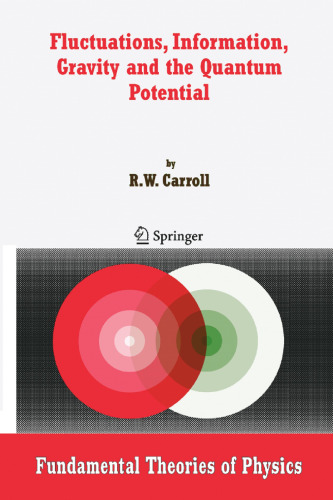 Fluctuations, Information, Gravity and the Quantum Potential (Fundamental Theories of Physics)