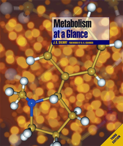 Metabolism at a glance