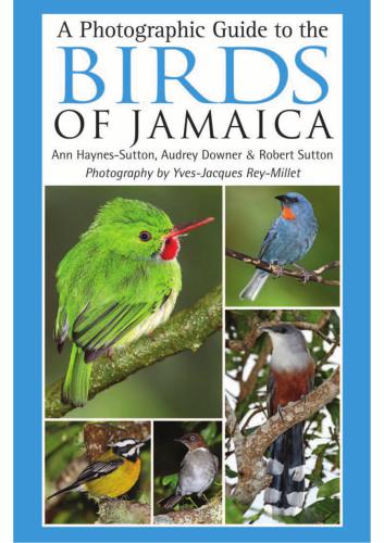 A Photographic Guide to the Birds of Jamaica