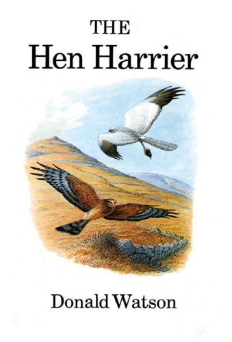 The Hen Harrier