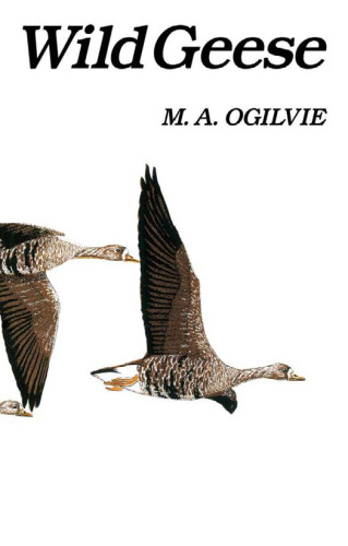 Wild Geese