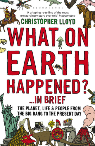 What on Earth Happened?... in Brief