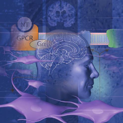 Mayo Clinic Medical Neurosciences