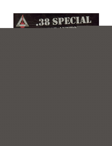 .38 Special Guitar Anthology (Guitar Recorded Versions)