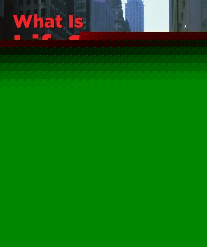 What Is Life? A Guide to Biology