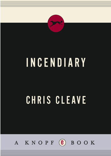 Incendiary: A Novel