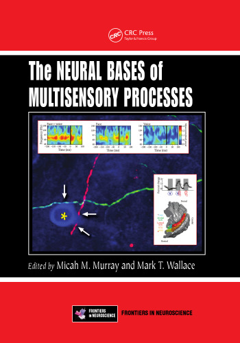 The Neural Bases of Multisensory Processes (Frontiers in Neuroscience)