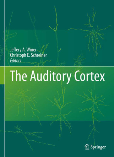 The Auditory Cortex
