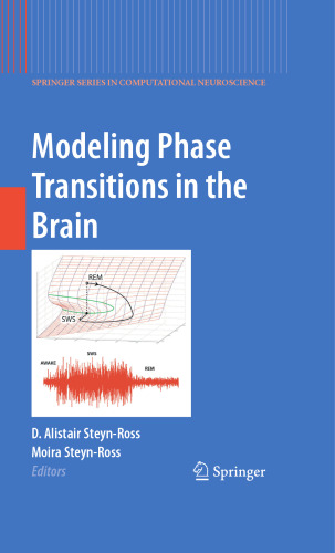 Modeling Phase Transitions in the Brain (Springer Series in Computational Neuroscience, 4)