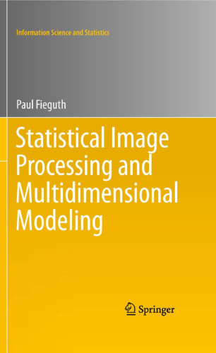 Statistical Image Processing and Multidimensional Modeling
